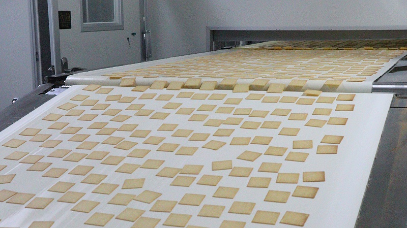 ����K8����-��������