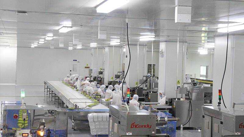 ����K8����-��ҵ����