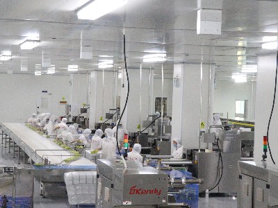 ����K8����-��ҵ����