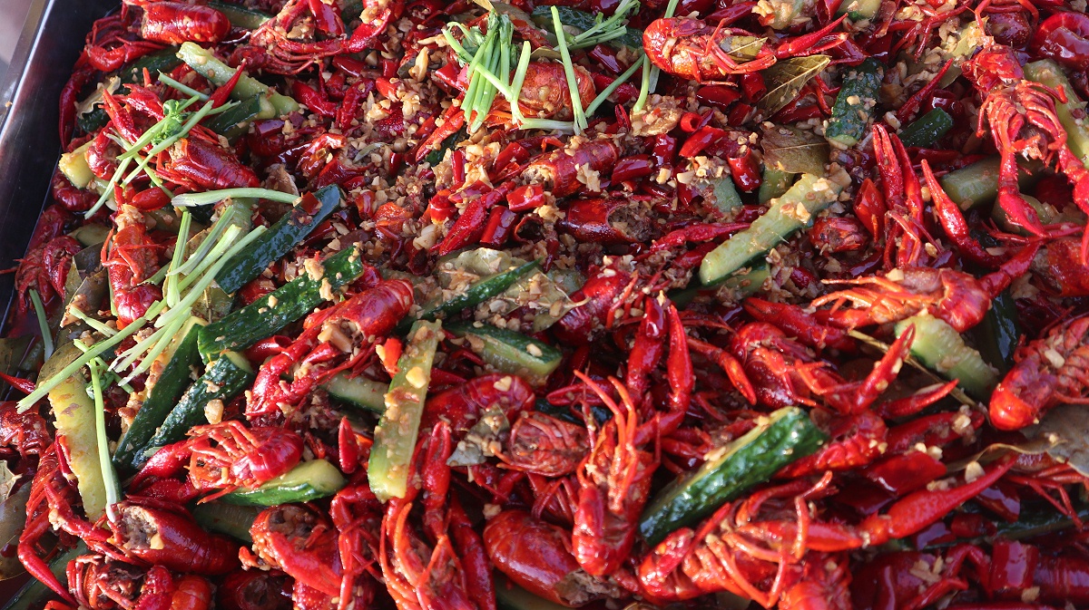 ����С��Ϻ