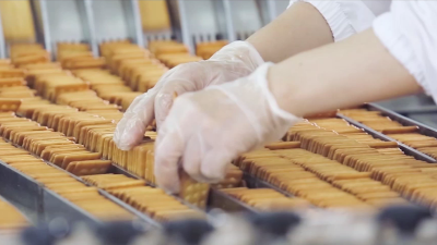 ����K8��������������������